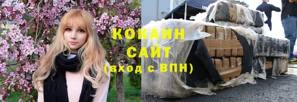 крисы Бородино