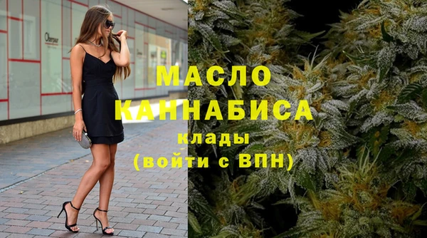 крисы Бородино